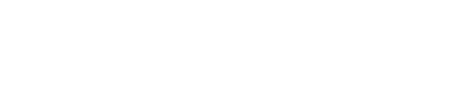flontic.com